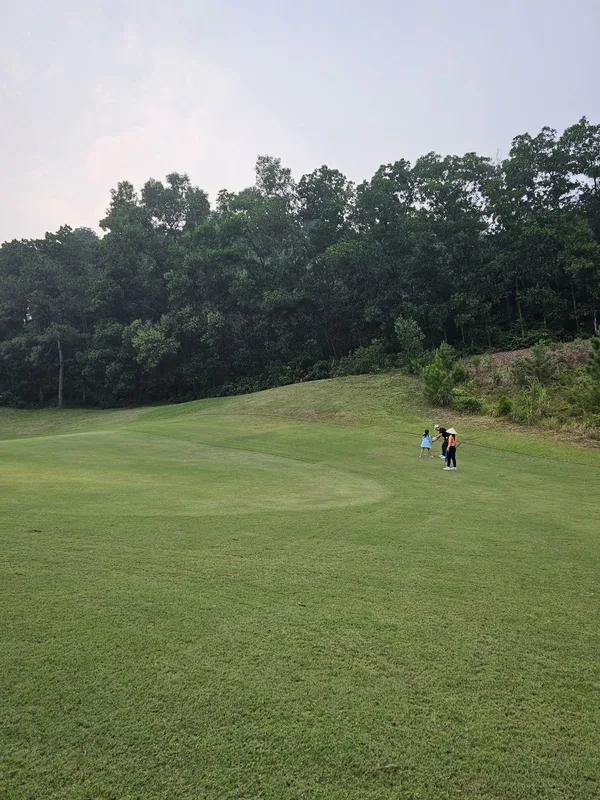 Lisa golf experience